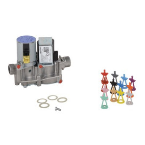 Vanne- VAILLANT - 0020019992