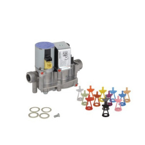 Vanne- VAILLANT - 0020019992