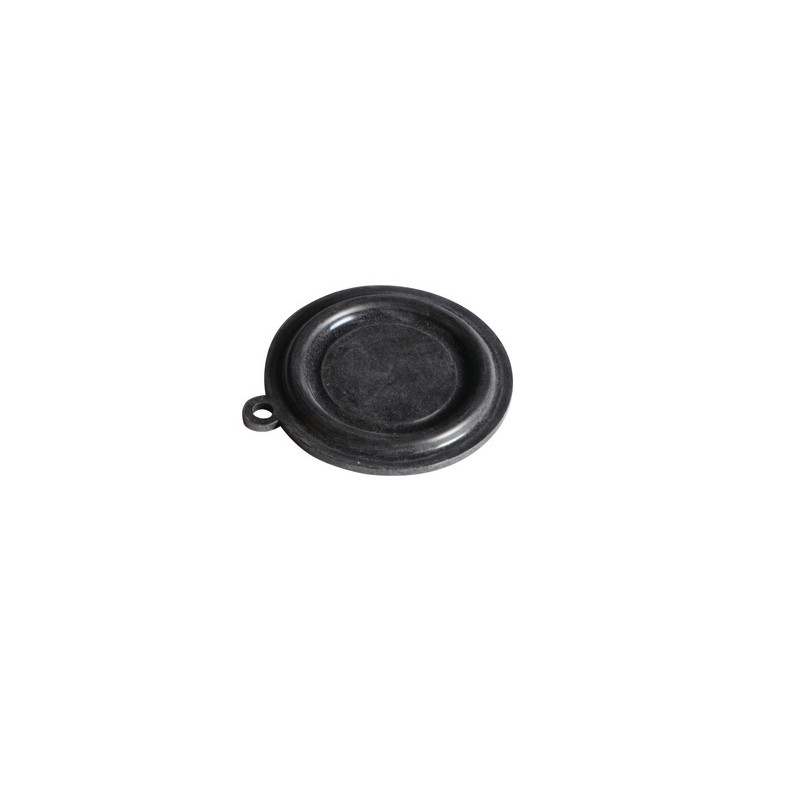 Membrane- VAILLANT - 0020107790