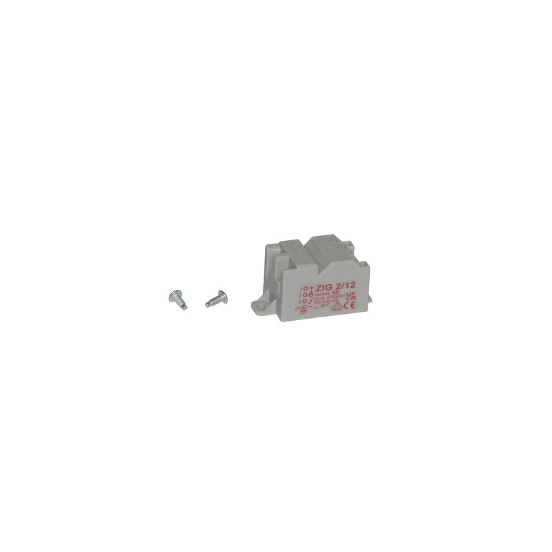 Allumeur- VAILLANT - 0020213915
