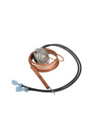 Thermostat de fumées- AOSMITH - 0071587002(S) Thermostat de fumées- AOSMITH - 0071587002(S)
