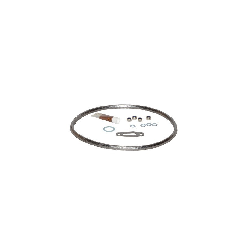 Kit de maintenance I- DIFF pour Saunier Duval - 0010036500