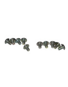 Vis (x10)- VAILLANT - 105900  - (X10)