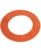 Joint de bride 6" DN150- DIFF - 110205  - (X2)