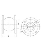 Compensateur à brides DN40- GENEBRE - 110289 Compensateur à brides DN40- GENEBRE - 110289