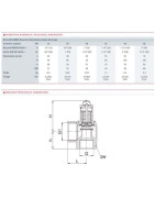 Soupape chauffage 3b molette F1/2" x F3/4"- GOETZE - 651MHNK-15-F/F-1 3B Soupape chauffage 3b molette F1/2" x F3/4"- GOETZE - 651MHNK-15-F/F-1 3B