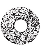 Gicleur STEINEN 4,50G 45° SS- STEINEN - 450D45SS