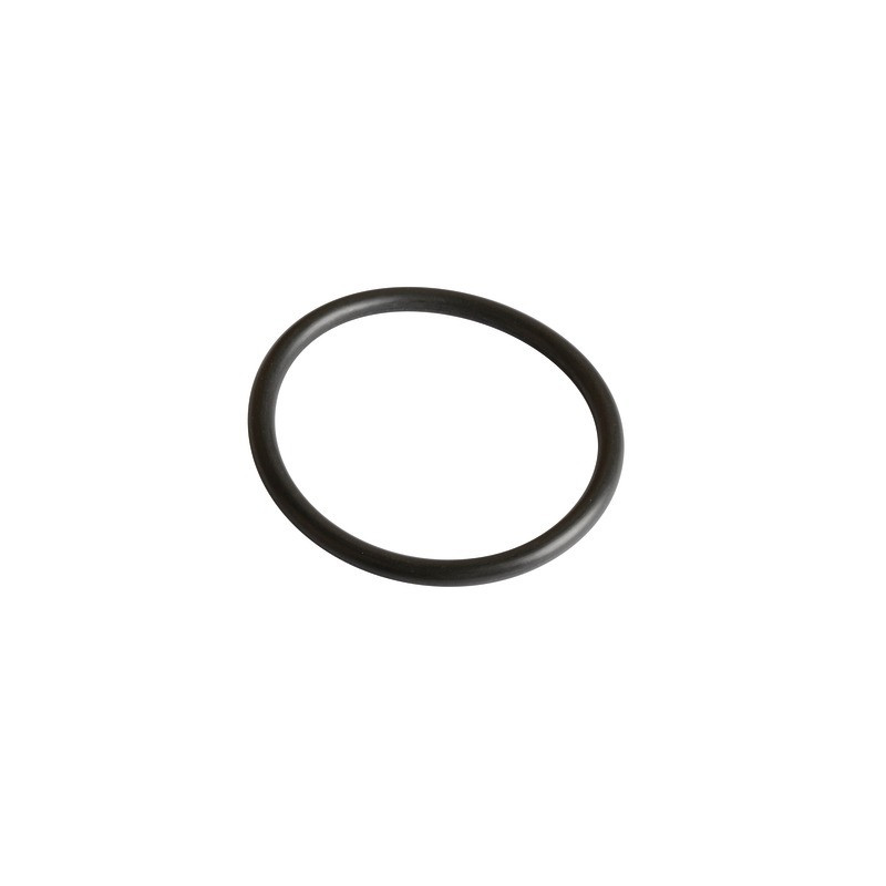 Joint R36 viton (capteur V97)- FRISQUET - 240134