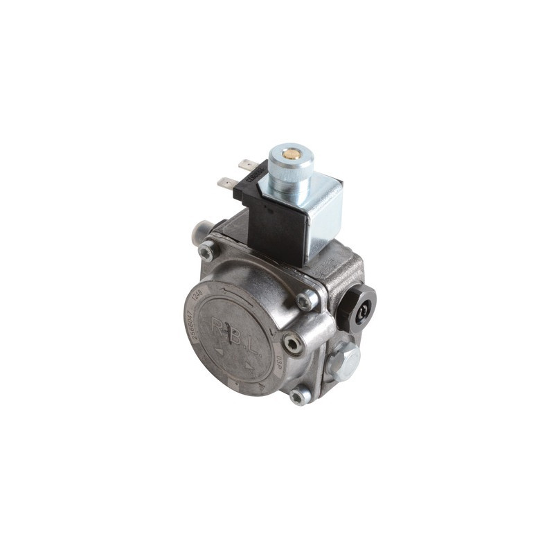 Pompe GULLIVER RG0- RIELLO - 3002495