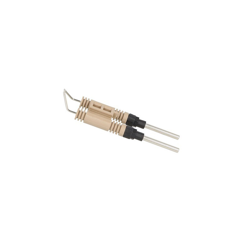 Bloc électrode- RIELLO - 3005721