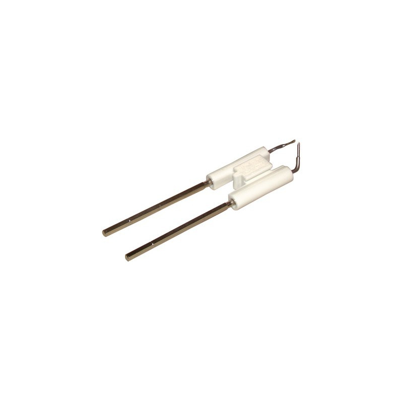 Bloc électrode- RIELLO - 3005766