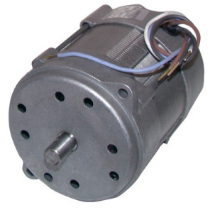 Moteur 150W p/15M/20M- RIELLO - 3005820