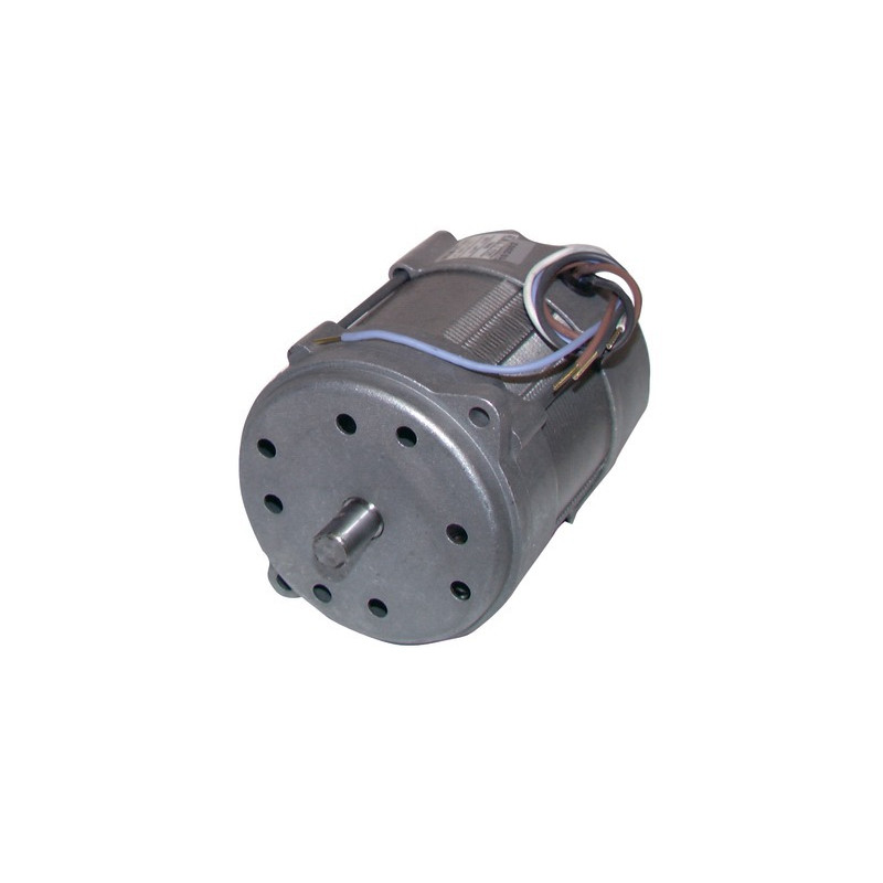 Moteur 150W p/15M/20M- RIELLO - 3005820