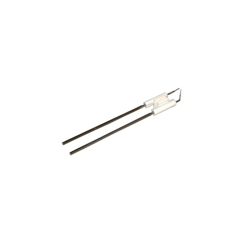 Bloc électrode 15M/20M- RIELLO - 3006076