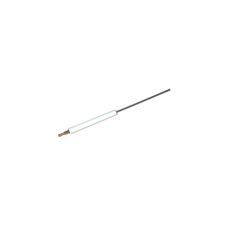 Électrode ionisation GS10- RIELLO - 3006708