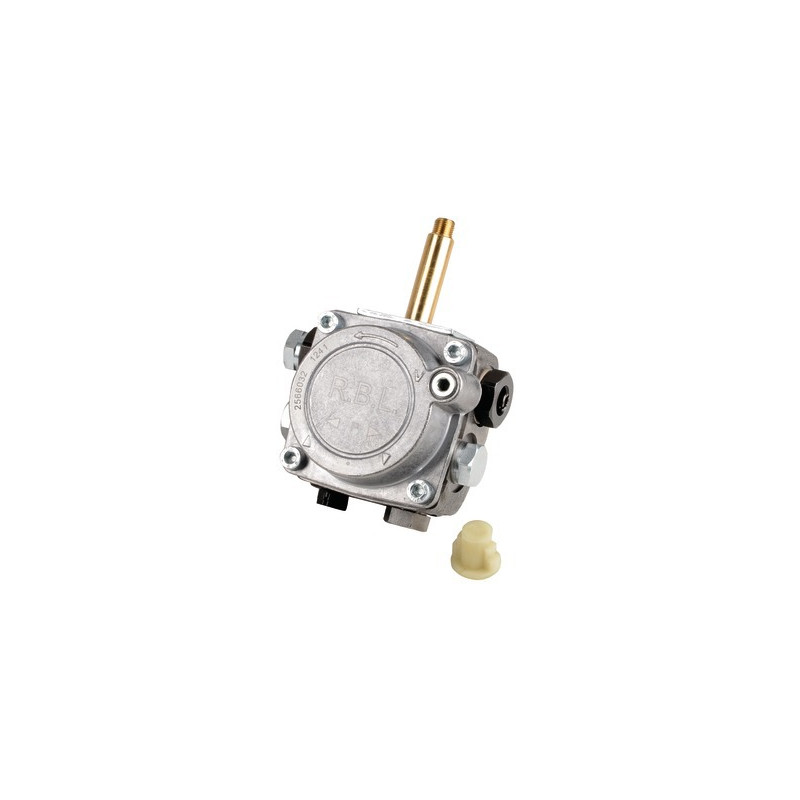 Pompe F10K- RIELLO - 3006918