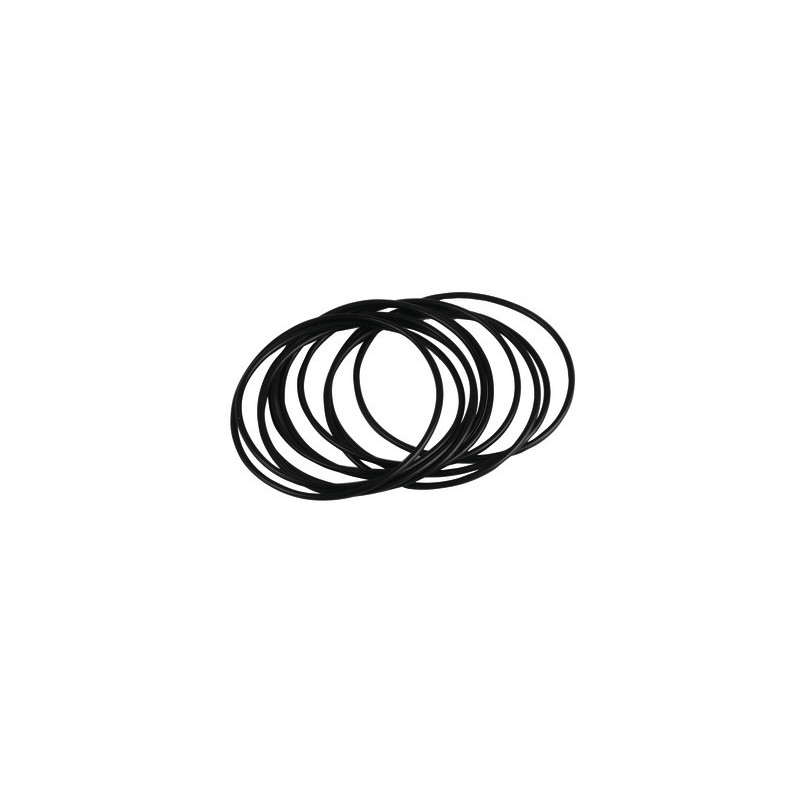 Joint torique- RIELLO - 3007162  - (X10)
