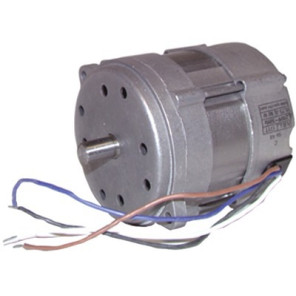 Moteur- RIELLO - 3008451