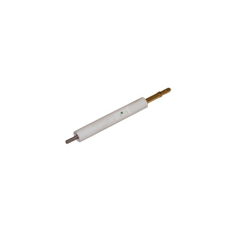 Électrode allumage BS1- RIELLO - 3008930