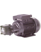 Groupe de transfert basse pression GAPA J6 BP- DIFF - 309042 Groupe de transfert basse pression GAPA J6 BP- DIFF - 309042