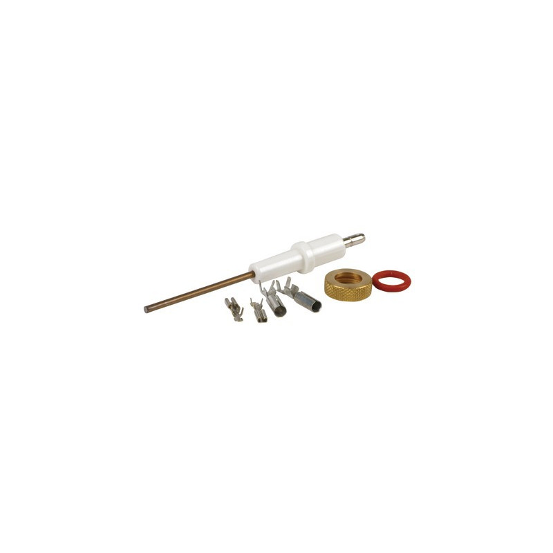 Électrode ionisation ECONCEPT- FERROLI - 39806200