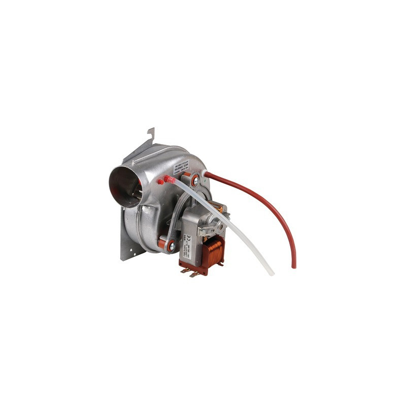 Extracteur- FERROLI - 39819310