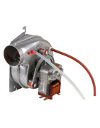 Extracteur- FERROLI - 39819310 Extracteur- FERROLI - 39819310