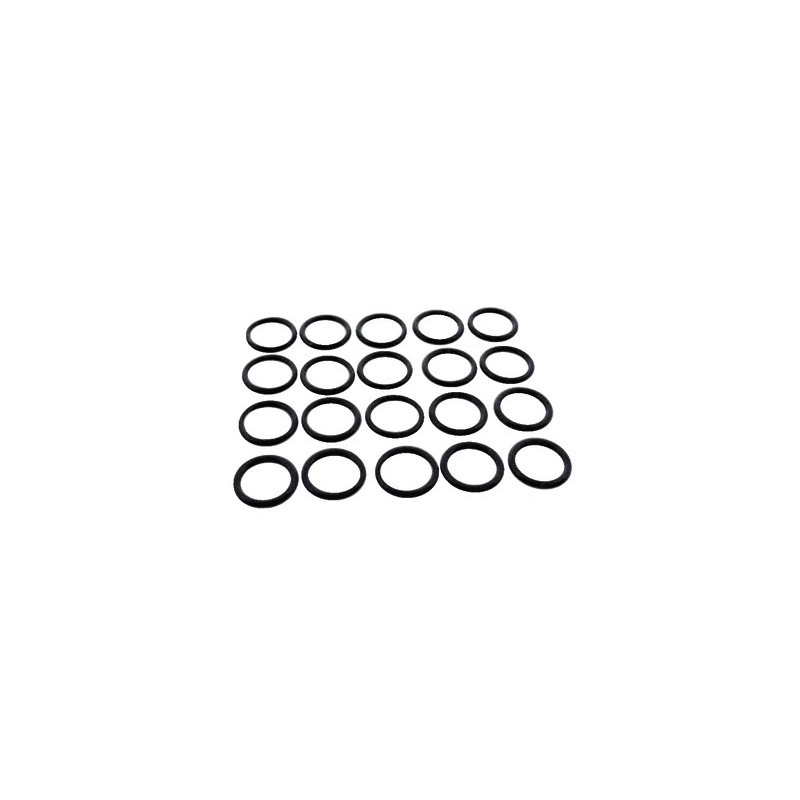 Joint sanitaire corps de chauffe- FERROLI - 39837700  - (X20)