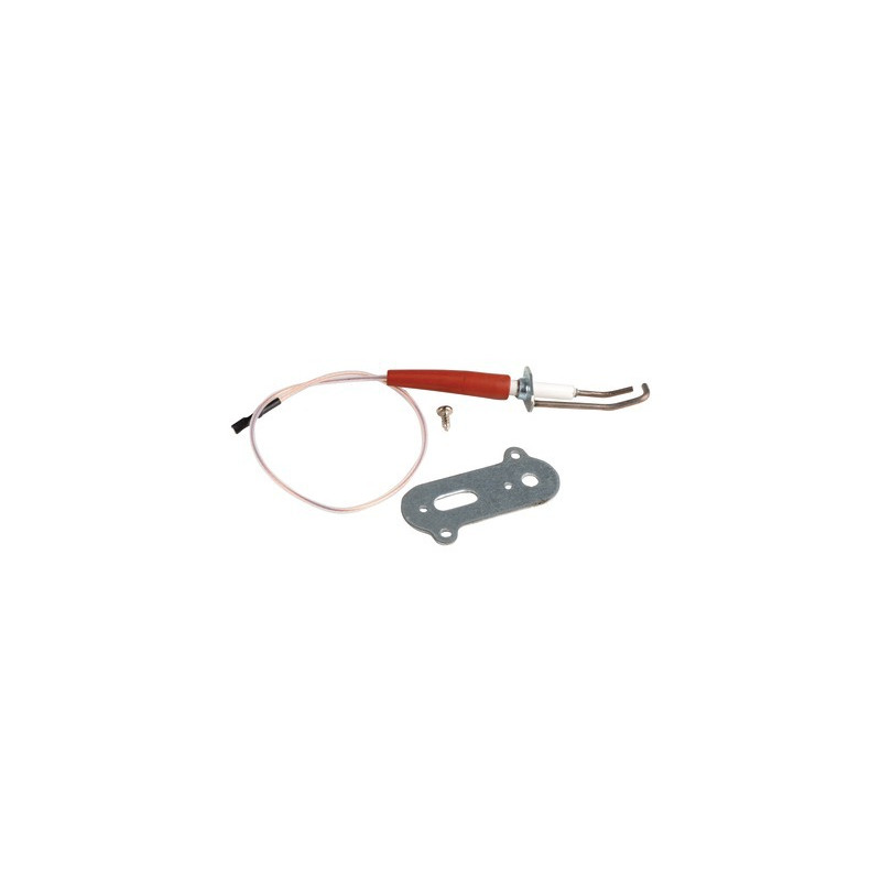 Électrode allumage DOMUS ISC R- RIELLO - 4050364