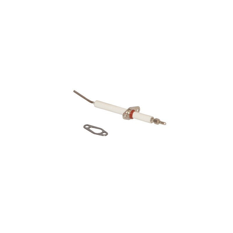 Électrode ionisation aludomus- RIELLO - 4052052