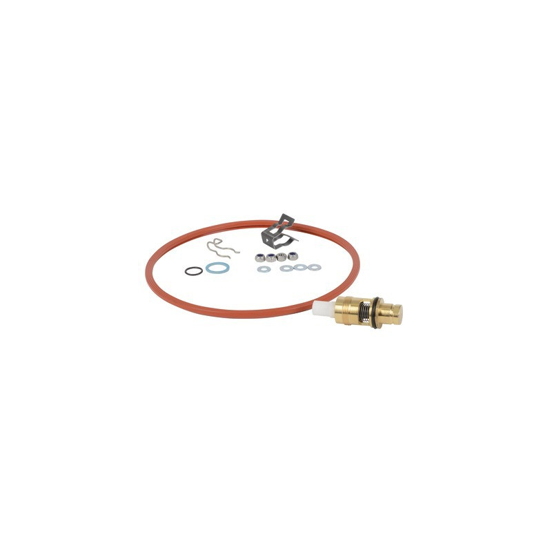 Détecteur débit 1,2 ltr/min. max.14l/min- DIFF pour De Dietrich Chappée - S100203