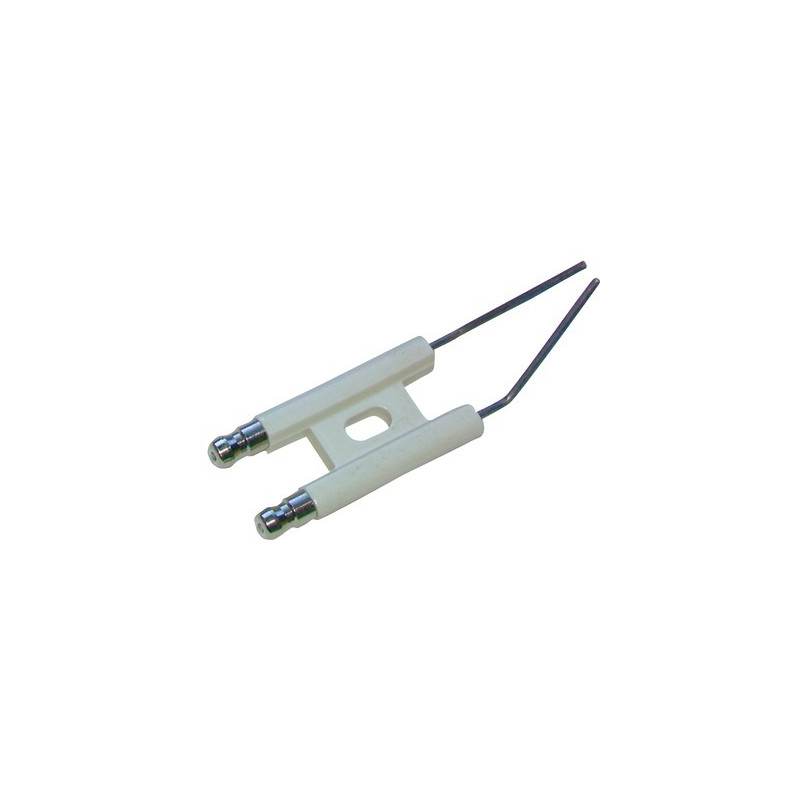 Électrode spécifique BM101A201- INTERCAL - 700650050