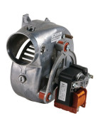 Extracteur- RIELLO - 4364854
