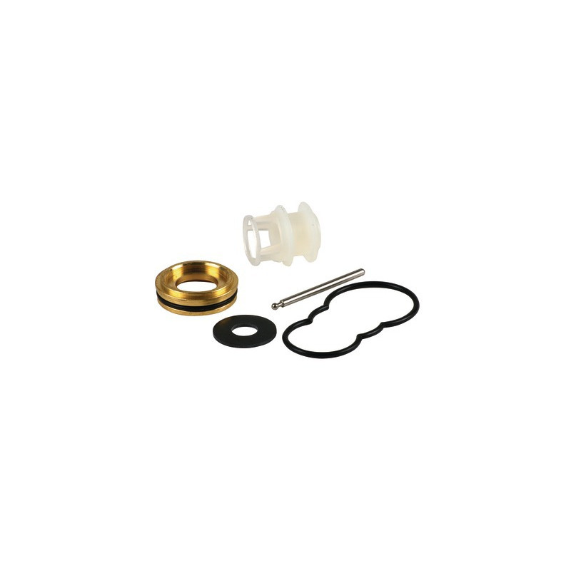 Kit de révision- RIELLO - 4365150
