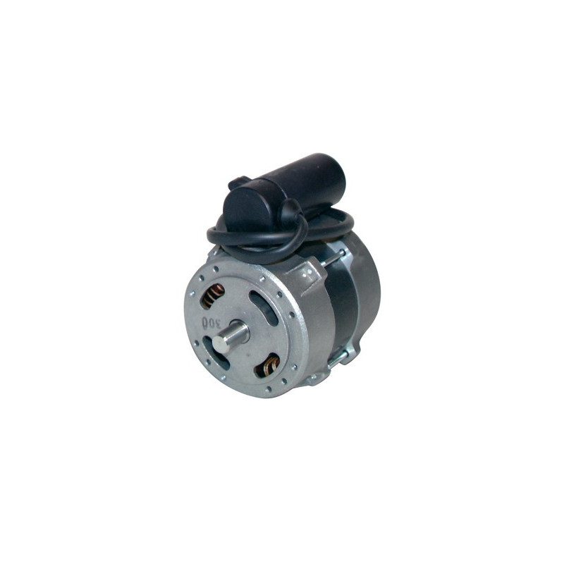 Moteur AEG complet- DIFF pour Atlantic - 150366