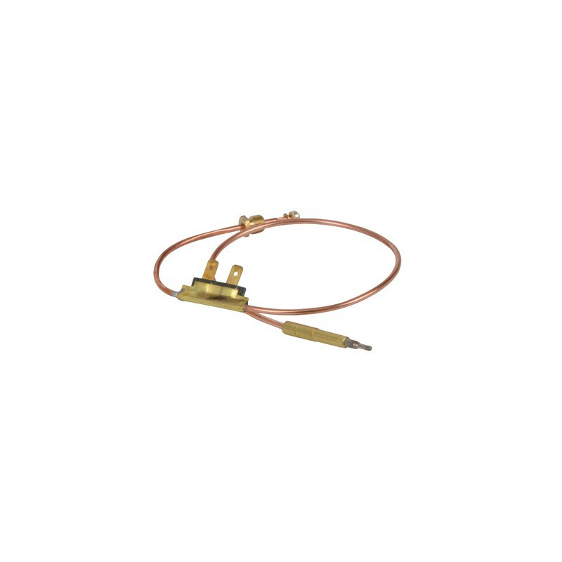 Thermocouple- DIFF pour AO Smith - 0071872