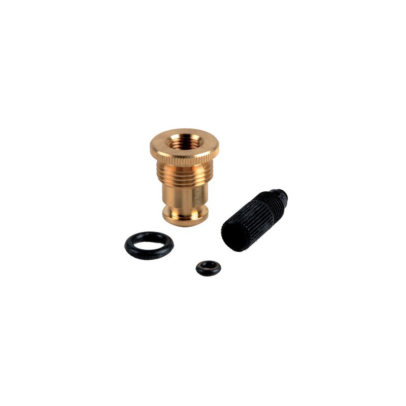 Kit purgeur- CHAFFOTEAUX - 60001385