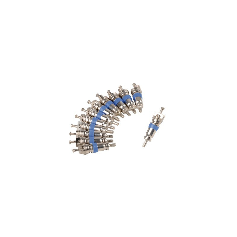 Valve SCHRADER n°15- DIFF - 609191  - (X12)