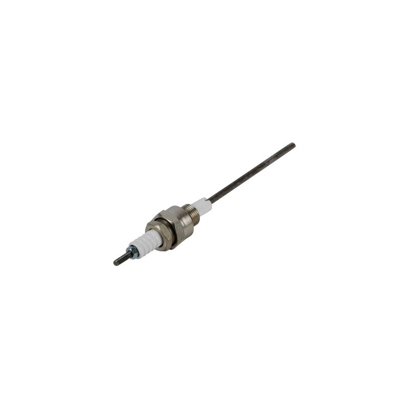 Électrode ionisation- RENDAMAX - 64201562