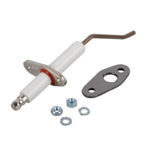 Électrode ionisation & joint- RENDAMAX - 64202262