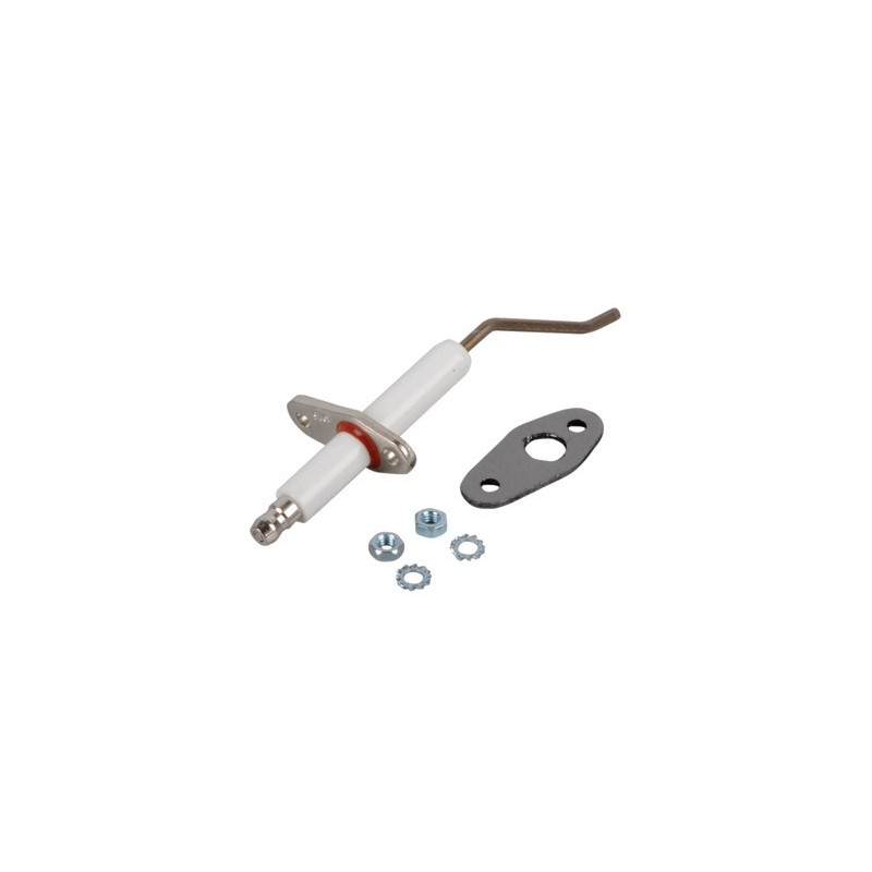 Électrode ionisation & joint- RENDAMAX - 64202262