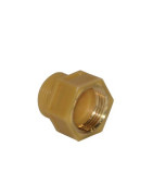 Raccord diélectrique 3/4- CHAFFOTEAUX - 65120756