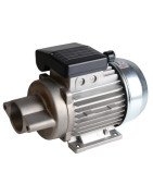 Moteur standard bride Néma 2 non ventilé- DIFF - 702094