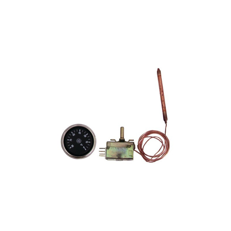Aquastat régulation à bulbe AB100- DIFF - 703433