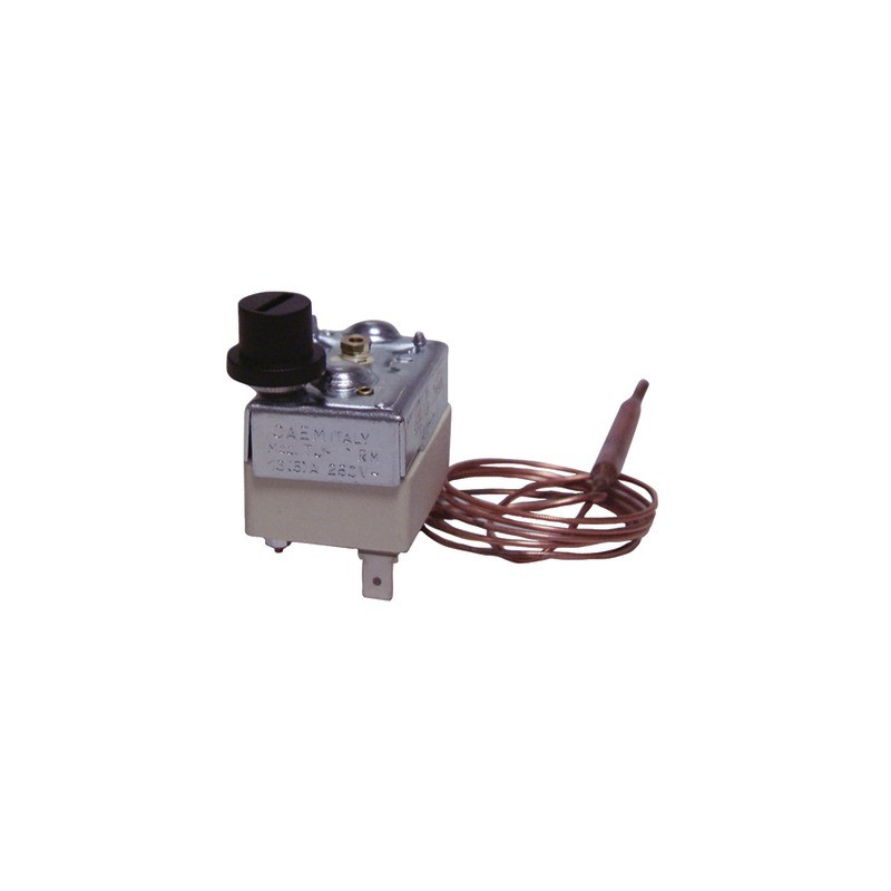 Aquastat de sécurité à bulbe, réarmement manuel, type TS RM TF- DIFF - 703924