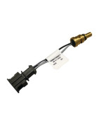 Sonde départ surchauffe (4 fils) SMARTLI/G- GEMINOX - 7099092