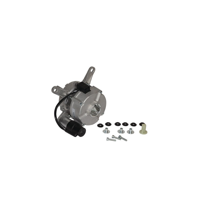 Moteur- CHAPPEE - 7666069