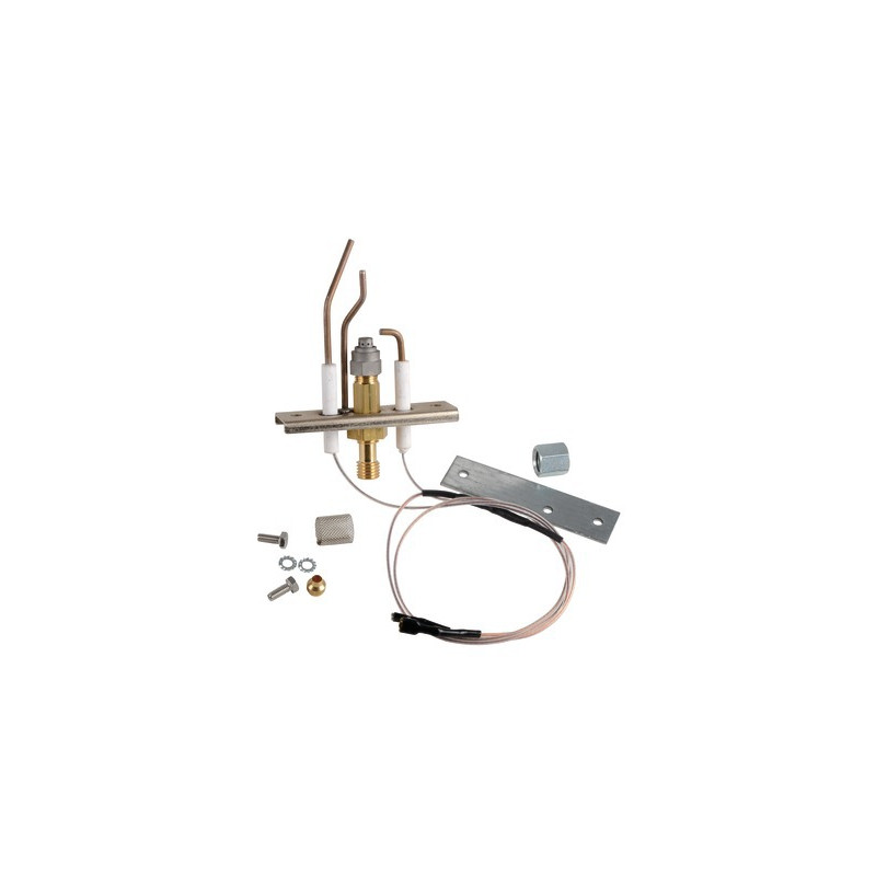 Brûleur allumage + ionisation + masse- DE DIETRICH - 85025640