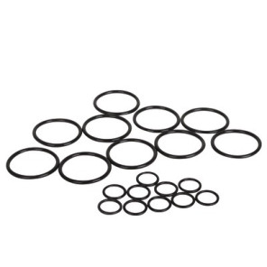 Sachet joints siphon- ELM LEBLANC - 87101031540  - (X10)