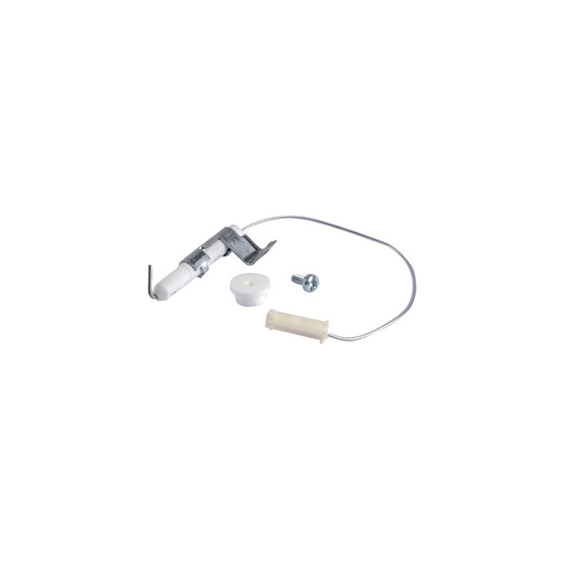Électrode ionisation- ELM LEBLANC - 87167602380